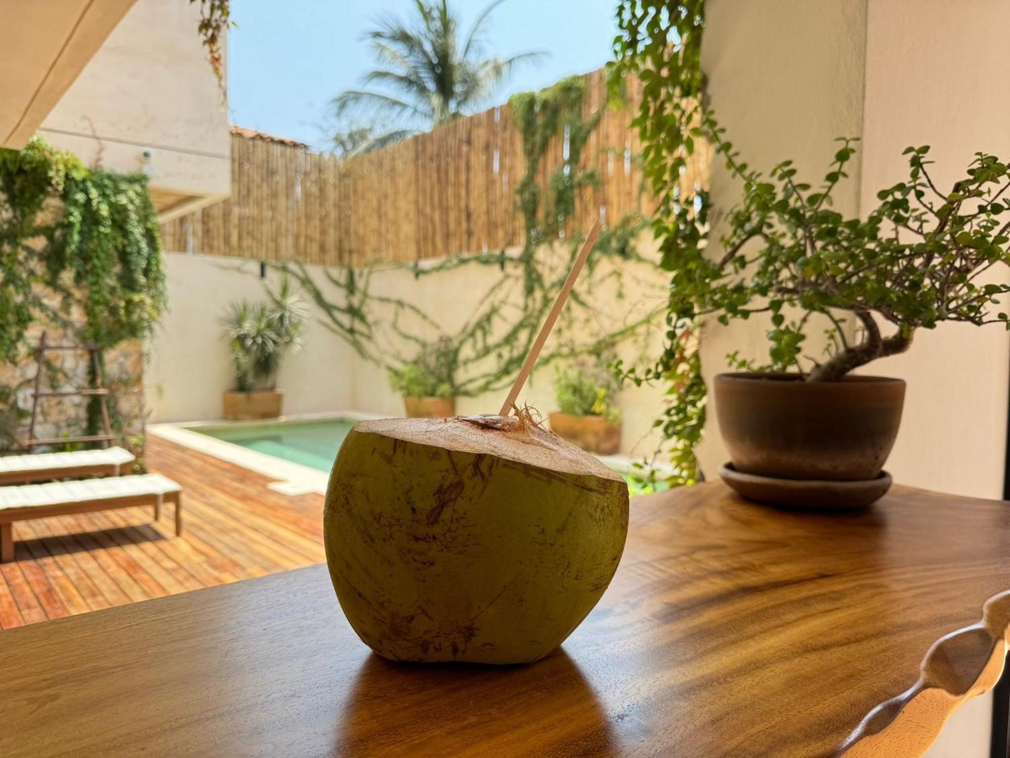 Casa Ita Surf - Adults Only Otel Puerto Escondido  Dış mekan fotoğraf